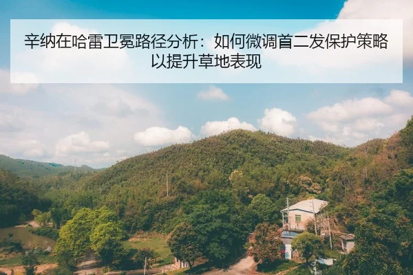 xin-na-zai-ha-lei-wei-mian-lu-jing-fen-xi-ru-he-wei-diao-shou-er-fa-bao-hu-ce-lve-yi-ti-sheng-cao-di-biao-xian-2-577.jpg